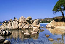 九游app-荷甲赛程吃紧，里昂转会期门线救险，引发热议，资深球员宣示担当的简单介绍-九游app